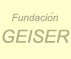 Logo Fundación Geiser